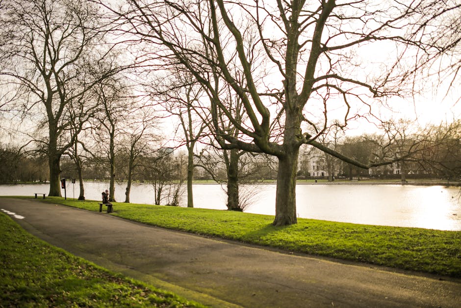A scenic view of a paved pathway running alongside a body of water in a park, lined with leafless trees during late autumn or winter. The trees have bare branches extending over the path, with some having thick trunks while others are more slender. A wooden bench is placed adjacent to the path with a person seated on it, looking out across the water. The body of water is calm, reflecting the overcast sky, with wooded areas and residential buildings visible in the background, beyond the trees. The area is well-maintained with a strip of green grass separating the path from the water, and the scene is illuminated by soft, natural daylight. This setting could be part of a peaceful outdoor space suitable for a home relocation process, such as transporting outdoor furniture or preparing for moving activities with local removals like Kennington Removals.