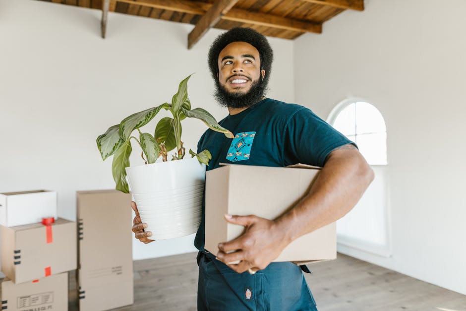A man with a beard and curly hair, wearing a dark blue t-shirt, is inside a well-lit room with white walls and a wooden ceiling. He is smiling and holding a potted plant with large green leaves in a white ceramic pot in one hand, and a cardboard box in the other. Behind him, several cardboard boxes with red tape are placed on the floor, some stacked near a doorway or window with natural light streaming in. The scene appears to be part of a home relocation or packing process managed by Kennington Removals, as part of their house removals service, involving furniture and packing materials in preparation for moving or transport.